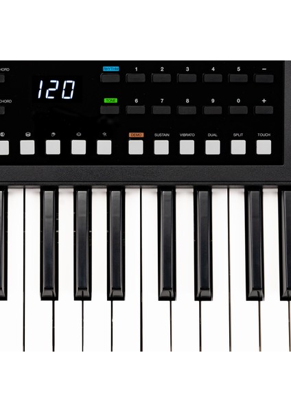 RA61 LED Ekranlı 5 Oktav Tuş Hassasiyetli Org modelleri