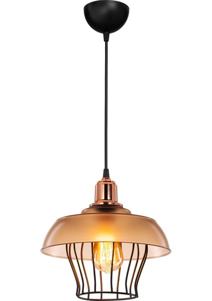 Çok Renkli Şık Sarkıt Balkon Dekorasyonu, Modern ve Canlı Tasarım modelleri