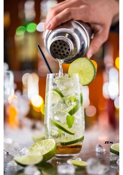 Paslanmaz Çelik Kokteyl Karıştırıcı 500 Ml, Şık ve Dayanıklı Tasarım