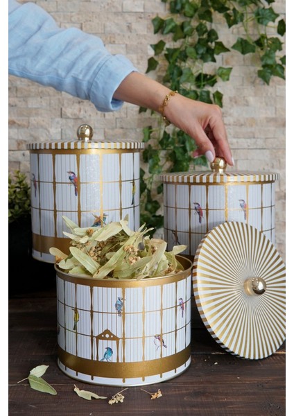 Yeşil Yuvarlak Kutu O 175, Topuz Kulp, 3'lü Set, Kuş Kafesi Tasarımı