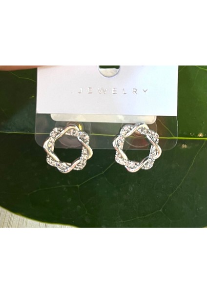 Gümüş Renk Lüks Gösterişli Daire Figürlü Küpe