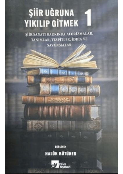 Şiir Uğruna Yıkılıp Gitmek 1