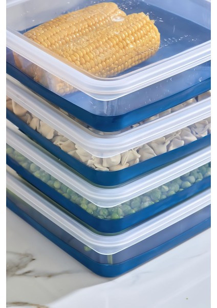 Lacivert 4'lü Silikon Tabanlı 2000 ml Derin Dondurucu Saklama Kabı Seti modelleri