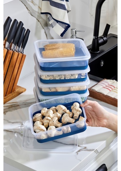 Lacivert 4'lü Silikon Tabanlı 2000 ml Derin Dondurucu Saklama Kabı Seti indirimleri