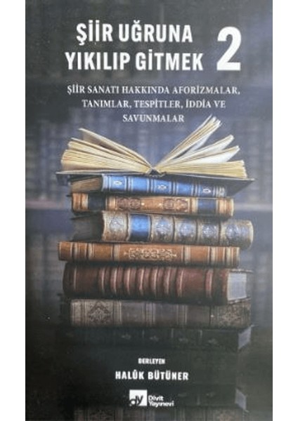 Şiir Uğruna Yıkılıp Gitmek 2