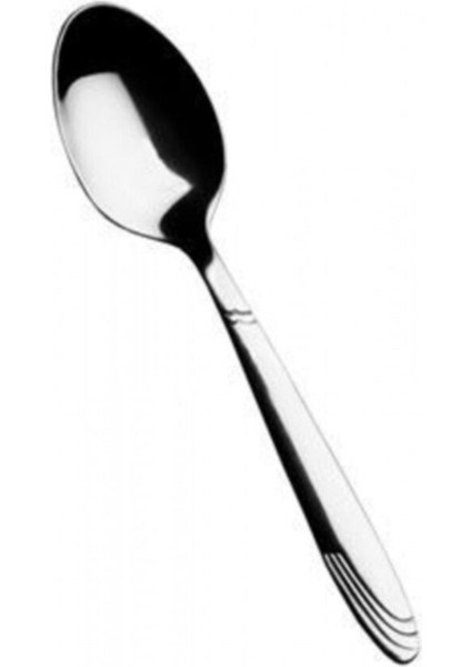 12'li Metalik Çay Kaşığı Seti, Şık ve Kullanışlı Tasarım