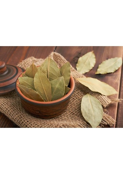 3 Adet Defne Sabunu – Kabak Lifi fiyatları