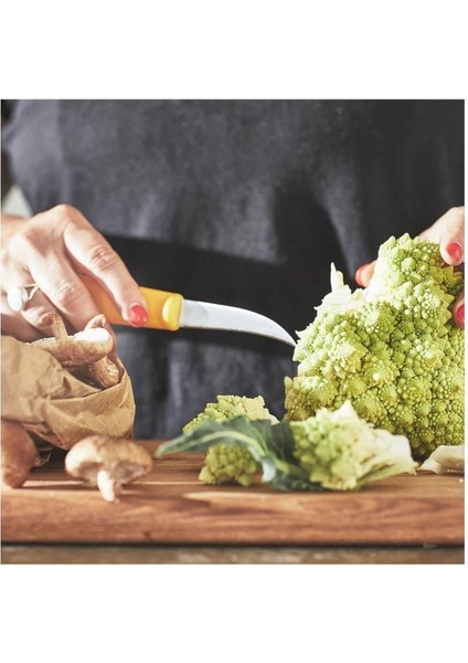 Pratik ve Hassas Kullanımlı Soyma Bıçağı ile Kolay Hazırlık modelleri