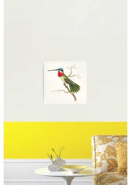 Çok Renkli Sinek Kuşu Ahşap Tablo Dekoratif, Şık ve Canlı Tasarım fiyatları