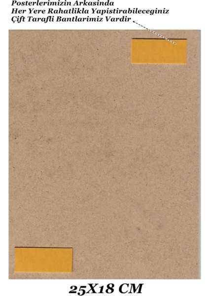 Renkli Fantastik Bay Fox Wes Anderson Temalı Minimalist Film Posteri modelleri