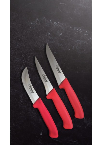 Üçlü Bıçak Seti ve Bileme Aleti ile Mutfak Şıklığı fiyatları