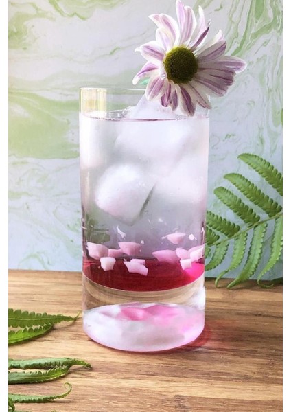 Altılı Kısa Meşrubat Bardağı Seti, Şık ve Kullanışlı Tasarım, 64040