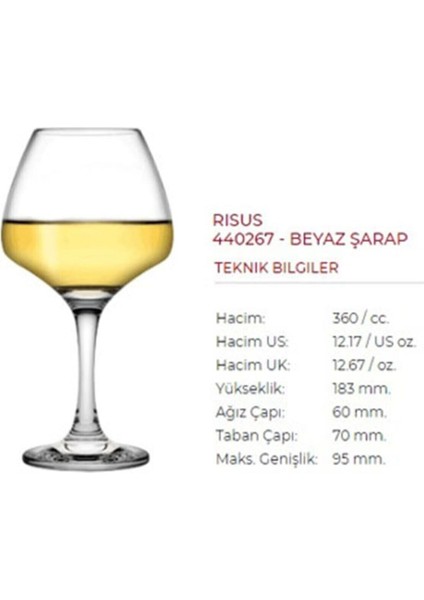 Turuncu Ayaklı 6'lı Bardak Seti, Şık ve Kullanışlı Ev ve Ofis Içi Kullanım Için