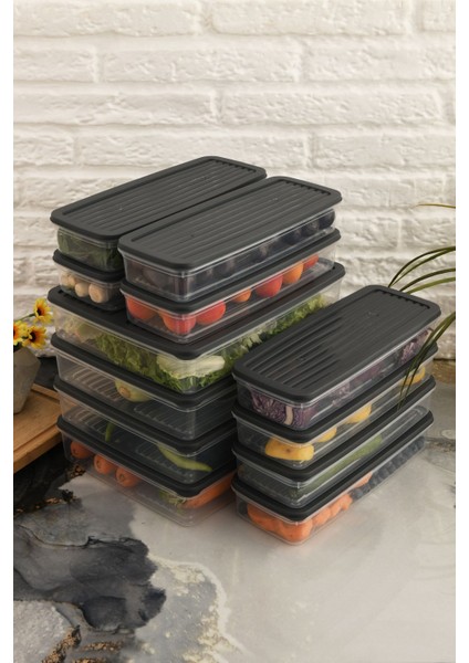 12'li Antrasit Kapaklı Saklama Kabı, Buzdolabı ve Mikrodalga Dostu, 18L fiyatları