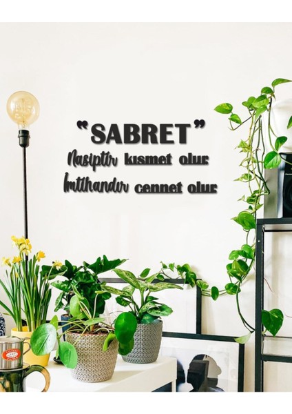 Siyah Renkli, Güzel ve Zarif Ürün, Şıklık ve Zarafetin Buluşması