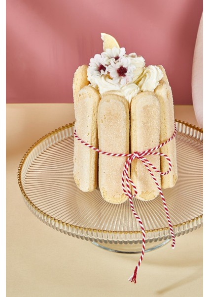 Beyaz 21 cm Pasta ve Tatlı Sunum Standı, Şık ve Kullanışlı Tasarım fiyatları