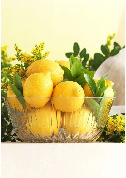 Turkuaz Büyük Boy Salata Kasesi, Şık ve Kullanışlı Mutfak Gereçleri fiyatları