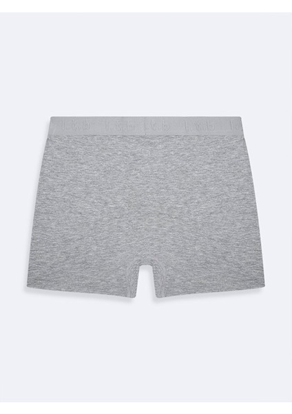 Gri Boxer fiyatları