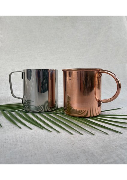 Paslanmaz Çelik Gümüş Renkli Kulplu Kupa ve Karaf Seti indirimleri