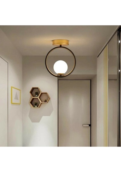 Modern Spor Glop Camlı Siyah Tavan Avize, Şık ve Özel Tasarım