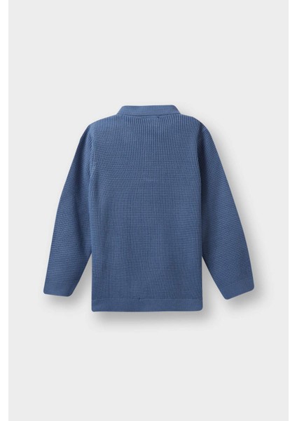 Erkek Bebek Polo Yaka Triko Kazak F2441A525WN modelleri