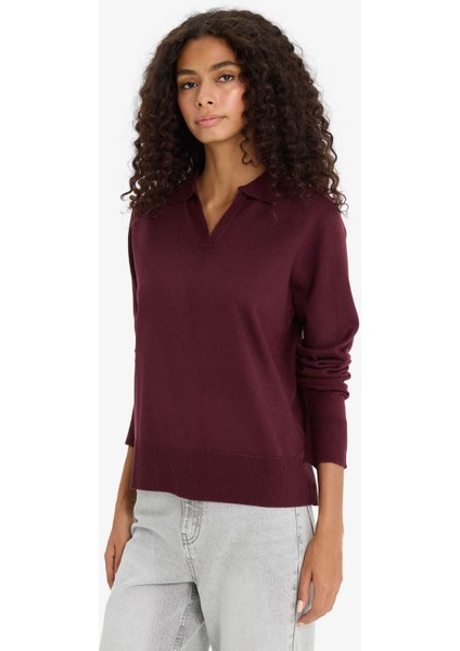 Regular Fit Polo Yaka Triko Kazak F0405AX25WN modelleri