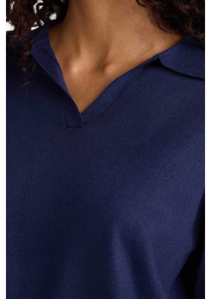 Regular Fit Polo Yaka Triko Kazak F0405AX25WN indirimleri