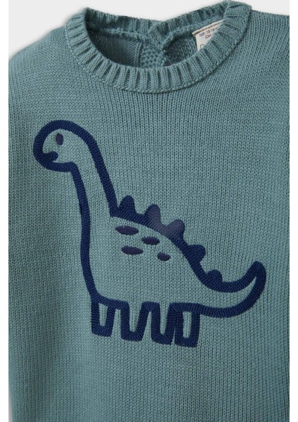 Erkek Bebek Dinozor Baskılı Triko Kazak F2581A525AU fiyatları