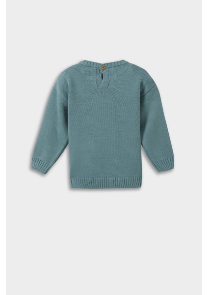 Erkek Bebek Dinozor Baskılı Triko Kazak F2581A525AU modelleri