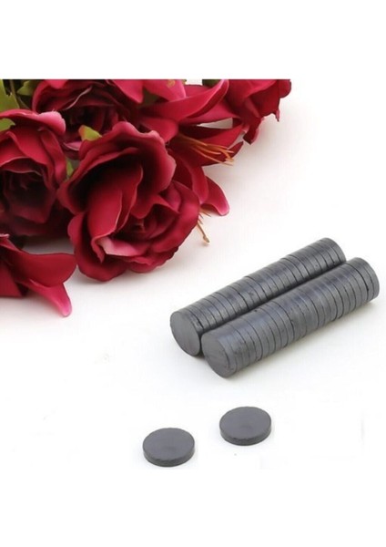 18X3 Yuvarlak Kömür Mıknatıs, Süsleme ve Nişan Için, Siyah, 100 Adet fırsatları
