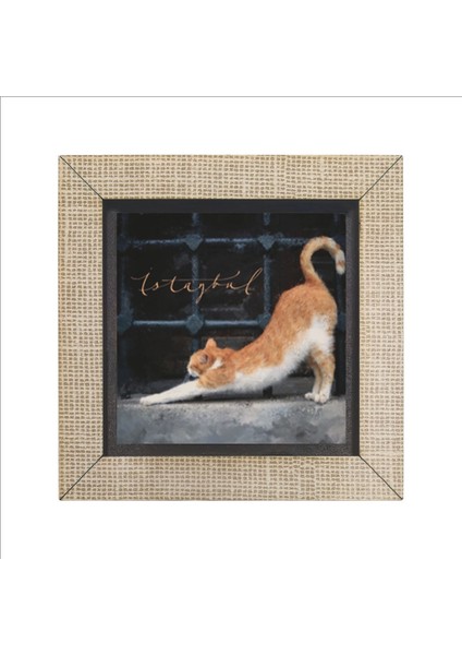 Bej Istanbul Kedisi Baskılı Mdf Magnet, Buzdolabı Süsü, Şık ve Renkli Dekorasyon. fırsatları