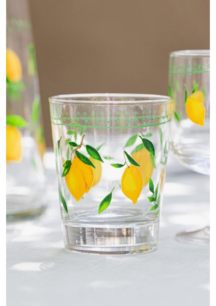 Mavi 4'lü 275 cc Su Bardağı Seti, Şık ve Dayanıklı Tasarım fiyatları