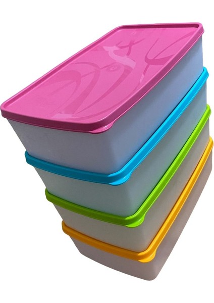 4'lü 2l Derin Dondurucu Saklama Kabı, Pembe, Nofrost, Büyük, Pratik, Dayanıklı