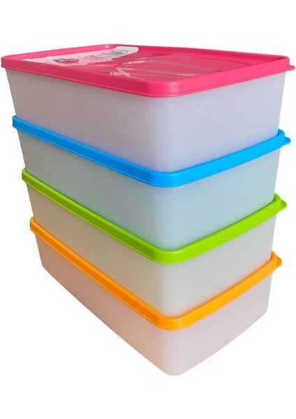 4'lü 2l Derin Dondurucu Saklama Kabı, Pembe, Nofrost, Büyük, Pratik, Dayanıklı fırsatları