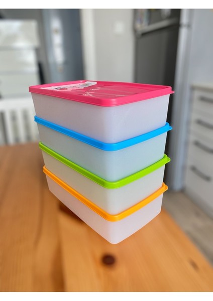 4'lü 2l Derin Dondurucu Saklama Kabı, Pembe, Nofrost, Büyük, Pratik, Dayanıklı indirimleri