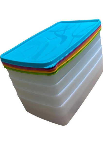 4'lü 2l Derin Dondurucu Saklama Kabı, Pembe, Nofrost, Büyük, Pratik, Dayanıklı