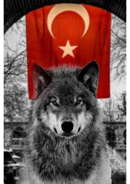 Kurt ve Türk Bayrağı Retro Poster 20X30, Şık ve Anlamlı Duvar Dekoru