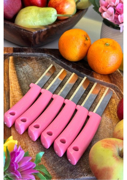 12'li Tırtıklı Meyve ve Sebze Bıçak Seti, Pembe, Şık ve Kullanışlı. modelleri