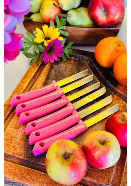 12'li Tırtıklı Meyve ve Sebze Bıçak Seti, Pembe, Şık ve Kullanışlı. fırsatları