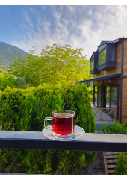 12 Parça Beyaz Çay ve Kahve Fincanı Takımı, Şık ve Kullanışlı Set