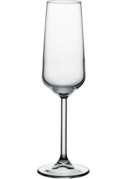 Şampanya Kadehleri 195CC 2'li Set, Zarif ve Şık Tasarım