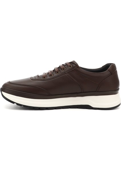Erkek Kahve Bağcıklı Hakiki Deri Comfort Sneaker modelleri