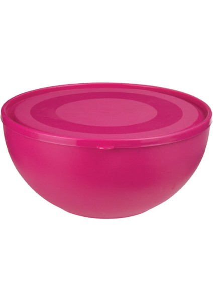 Pembe Büyük Yuvarlak Kapaklı Gıda Saklama Kabı 8,5 Litre indirimleri