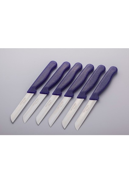 Mor Simli 6'lı Tırtıklı Meyve Sebze Bıçağı Seti