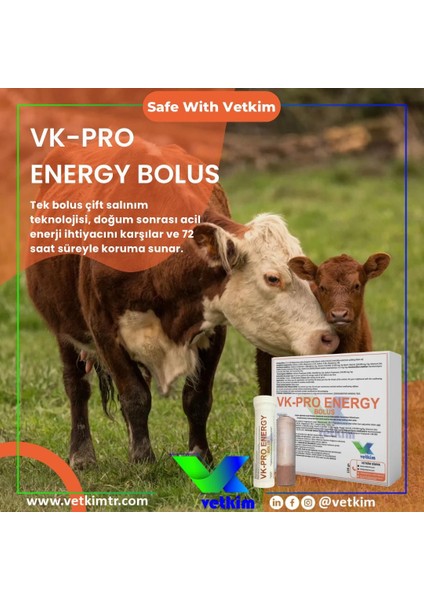 Vk-Pro Energy Bolus - 4 Adet 135 gr