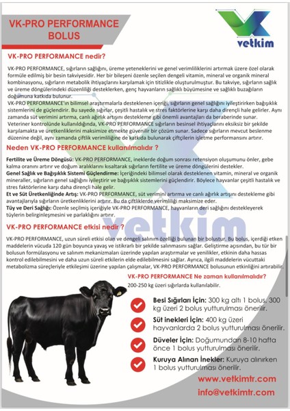 Vk-Pro Performance Bolus - 1 Adet 110 gr fiyatları