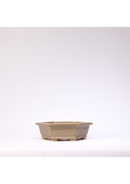 Altıgen Bonsai Saksısı No.29-Sırlı (19 Cm)