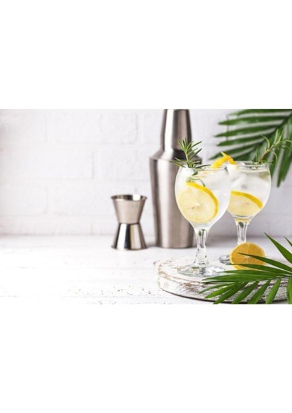 Şık 290 cc Ayaklı Meşrubat Kadehi Seti, 6'lı Paket, Modern Tasarım