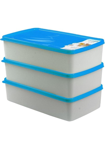 3'lü Mavi Saklama Kabı Seti, 2 Litre, Pratik ve Şık Tasarım fırsatları