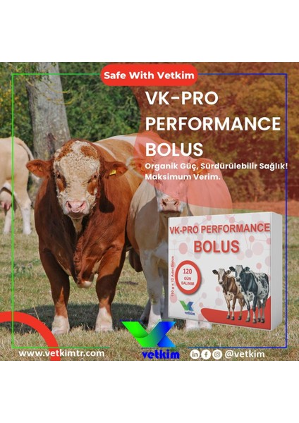 Vk-Pro Performance Bolus - 12 Adet 110 gr